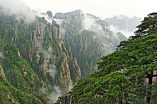 失忆的药在哪里能买到C1B8D97C5-18975